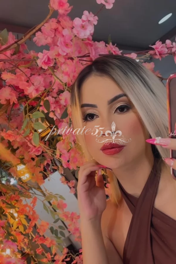 Acompanhantes em Joinville