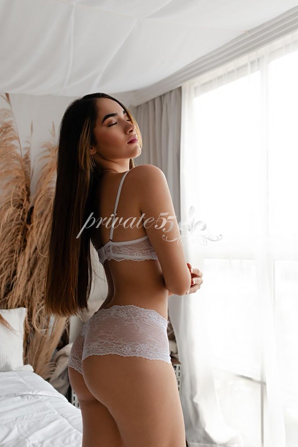 Sofia Novinha - Acompanhantes Brasília - Acompanhantes DF - Acompanhantes DF