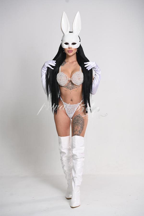 Sophia Alencar - Acompanhantes Curitiba - Acompanhantes Ctba - Acompanhantes PR