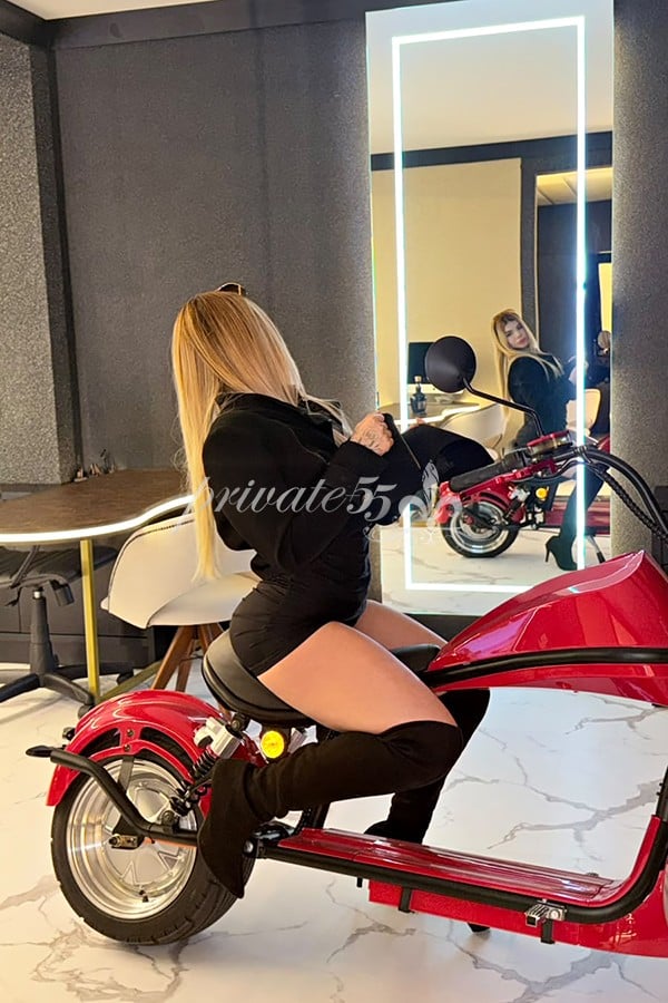 MIA ALBUQUERQUE - Acompanhantes Joinville