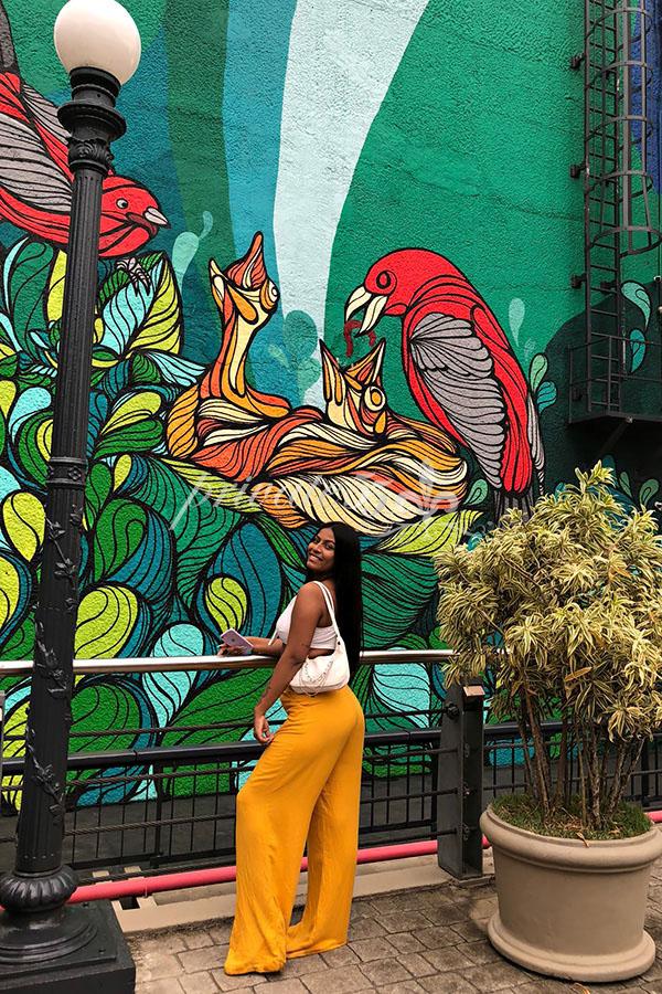 YNARA LIMA - Acompanhantes Rio de Janeiro