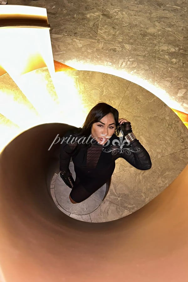 NATÁLIA CAMPOS - Acompanhantes São Paulo