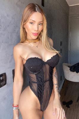 Thalita Ferrari - Acompanhantes SP - Acompanhantes São Paulo - Acompanhantes SP