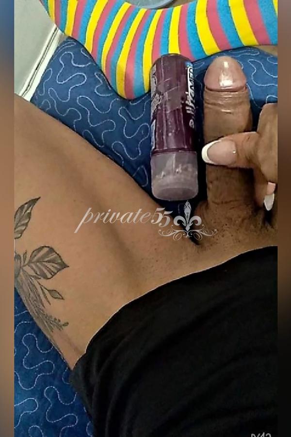 Ester Bianchi - Acompanhantes Curitiba - Acompanhantes Ctba - Acompanhantes PR