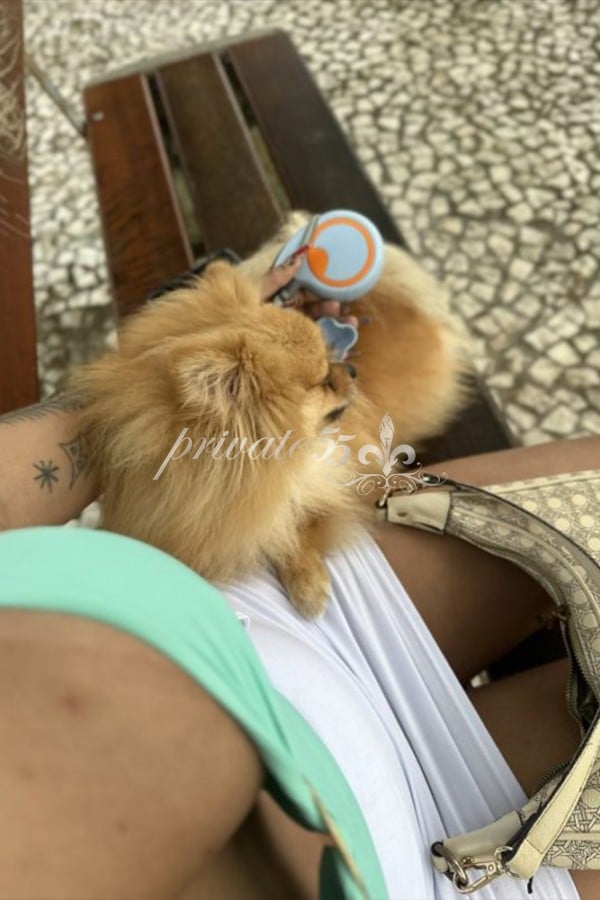 RENATA CARRIE - Acompanhantes Florianópolis