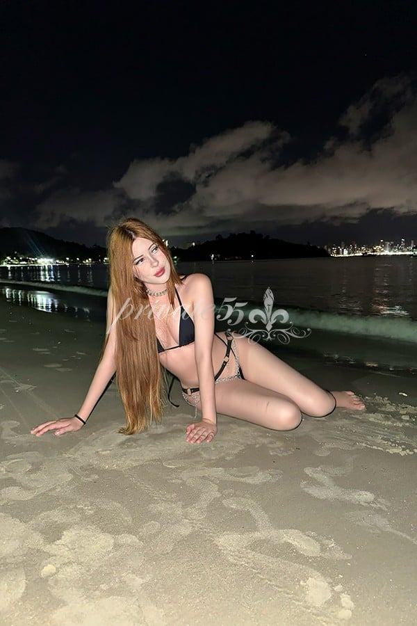 ARIANA MONTENEGRO - Acompanhantes Balneário Camboriú